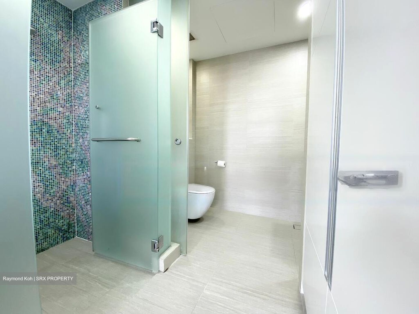 Sant Ritz (D13), Condominium #473777981